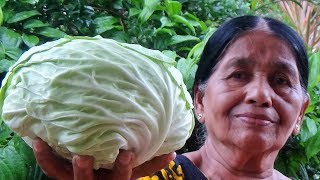 Village Foods ❤ Cabbage and Egg Stir Fry Recipe by my Mom [upl. by Livvie385]