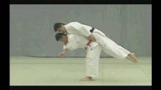 Nage No Kata Te waza primer grupo [upl. by Anovahs]