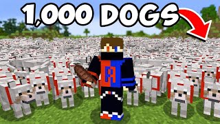 1000 Dogs Vs Best Minecraft Player [upl. by Aliam]