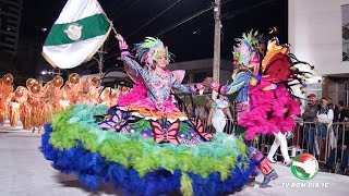 GRES Aliança  Carnaval 2020  Brazilian Carnival [upl. by Anyah938]