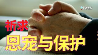 祷告力量大 30  有力量的清晨祷告  祈求神的恩宠、怜悯与保护 l 以这祷告开始一天 l 做完这祷告才出门 l 我在一天的开始将蒙受祝福，在一天结束之后也同样蒙受祝福 l 装备生命 [upl. by Ahsenek]