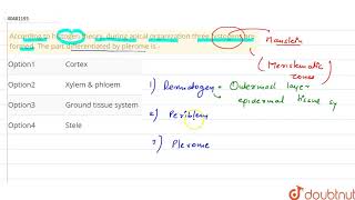 According to histogen theory during apical organization three histogens are formed The part differ [upl. by Sungam]