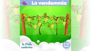 La vendemmia Lemelecanterine [upl. by Lettie]