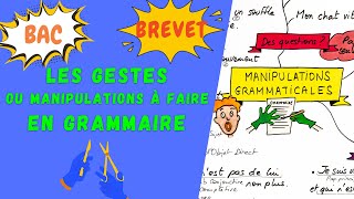 MANIPULATIONS ou GESTES À CONNAITRE EN GRAMMAIRE pour le brevet loral du bac de français 2024 [upl. by Dietz220]