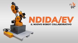 NDIDAEV il nuovo braccio robotico [upl. by Kal]