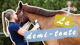 LA TONTE DU CHEVAL 12  LA DEMI TONTE ✂️ [upl. by Anerroc103]