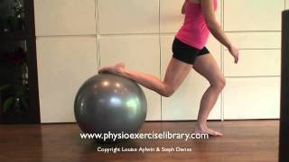 Physio Hip and Knee Exercises Swiss Ball Scooters [upl. by Htebazie]