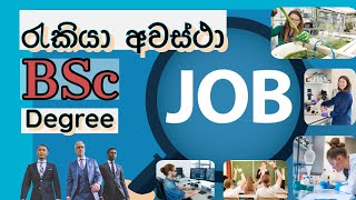 රැකියා අවස්ථා  BSc Degree 👨‍💼🧑‍💼 [upl. by Nellda]