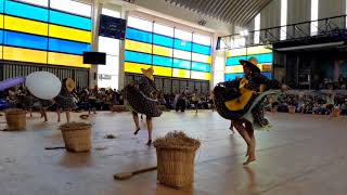 Danza Cosecha de Arroz  Medicina Humana  Concurso interescuelas UCSM 2019 [upl. by Yasnil168]