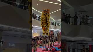 Yi Ngai Lion Dance [upl. by Gipson612]