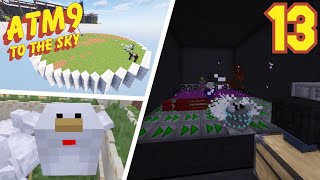 Fixing Up The Island amp Mob Farming Greatnest  Ep13  ATM9 To The Sky Minecraft [upl. by Annaxor]