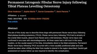 Permanent Iatrogenic Fibular Nerve Injury following Tibial Plateau Levelling Osteotomy [upl. by Radloff]