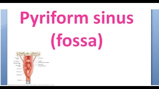 ENT Pyriform Sinus Fossa HypoPharynx LaryngoPharynx Carcinoma Malignancy smuggler [upl. by Disharoon44]