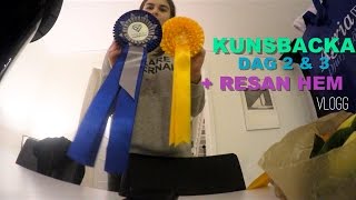 KUNGSBACKA DAG TVÅ amp TRE  RESAN HEM  VLOGG [upl. by Johppah145]