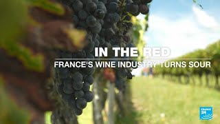 In the red Frances wine industry turns sour • FRANCE 24 English [upl. by Abekam757]