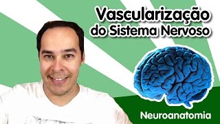 Neuroanatomia 11  Vascularização do Sistema Nervoso [upl. by Sammie]