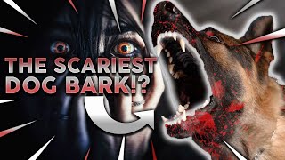 TOP 10 SCARIEST DOG BARKS Which Breed Has The Loudest Scariest Bark [upl. by Sidran734]