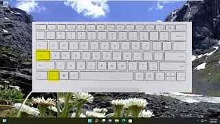 How to Enable or Disable Function Keys in Windows 1011 [upl. by Walston150]