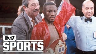 Boxing Legend Pernell Sweet Pea Whitaker Dead At 55 Hit By Car  TMZ Sports [upl. by Sephira]