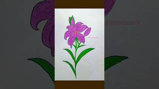 easy beautiful flower drawing  how to draw flowers in simple steps tasniaarts [upl. by Jallier]