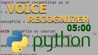 Voice Recognizer in 5 minutes Python Tutorial for Beginners [upl. by Bysshe]