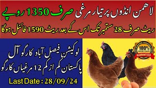 Lohmann Brown business in Pakistan  Poultry Ideas [upl. by Walker]