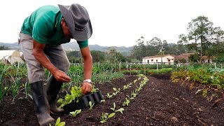 Importancia de la Agricultura Orgánica  TvAgro por Juan Gonzalo Angel [upl. by Merritt]