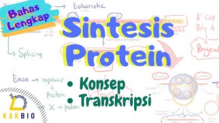 Sintesis Protein  Transkripsi [upl. by Esyned]