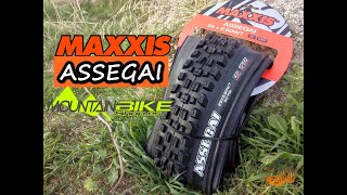 Cubierta MAXXIS ASSEGAI ⚙️  Evolución de la especie  LIVING ENDURO MTB [upl. by Temp]