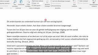 Word bibliografie APA tutorial [upl. by Primaveras]