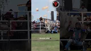 JARIPEO TOCUARO MICHOACAN DIS DEL PADRE [upl. by Fradin]