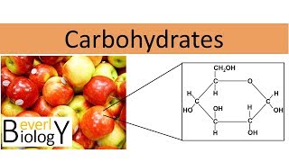 Carbohydrates regular biology [upl. by Aivizt]