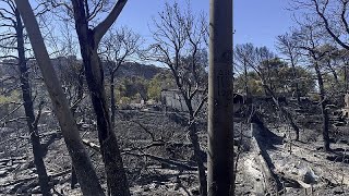 Attika nach dem großen Feuer ein Bild der Verwüstung [upl. by Eidod]