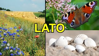 Lato – przyroda wakacje co robić nad morzem i w górach – Film edukacyjny dla dzieci – lekcja [upl. by Wu]