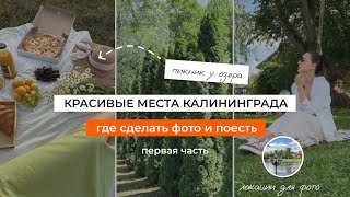 Красивые места Калининграда  Прогулка по Калининграду  Где поесть и погулять в Калининграде  ВЛОГ [upl. by Vange]