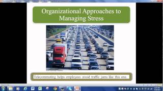 Organizational Behavior Chapter 7 [upl. by Nittirb]