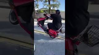 Honda elite 80 Wheelies honda elite ch80 wheelie wheelielife mopedlife moped smallbore mini [upl. by Spense]