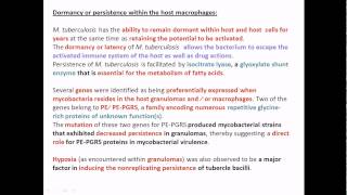 Dormancy of Mycobacterium tuberculosis inside macrophage [upl. by Burkle]