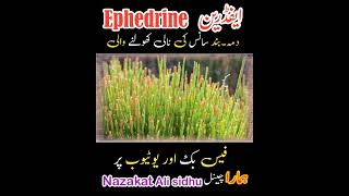 Ephedrine ephedra medicine treatment therapy [upl. by Baxter]