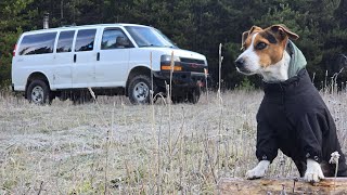 October Van Life deep in the Mountains and a school bus tour [upl. by Luedtke]