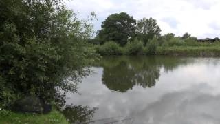 MOREHOUSE FARM FISHERY WIVELSFIELD EAST SUSSEX [upl. by Yspyg]