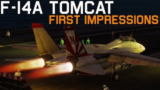 DCS F14A Tomcat First Flight amp First Impressions [upl. by Atiken]