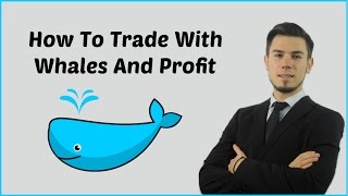 How To Trade With Whales And Profit On Poloniex [upl. by Sheline994]