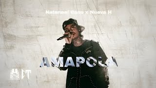 AMAPOLA  Audio Oficial Natanael Cano y Nueva H [upl. by Ytsenoh]