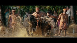 Kantara Kambala Buffalo Race Scene [upl. by Maybelle]