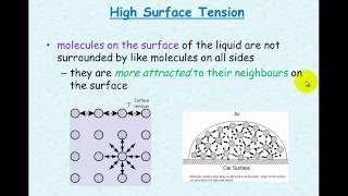 Water 23 Adhesion cohesion surface tension [upl. by Lerner]