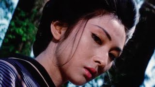 The Violent Beauty of Lady Snowblood [upl. by Assilem]