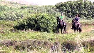 Puur Terschelling [upl. by Dhar]