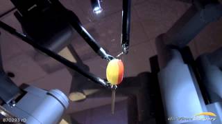 da Vinci Surgical System  Peeling A Grape [upl. by Garrot]