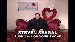 MADtv  Lowered Expectations Steven Seagal [upl. by Annerol]